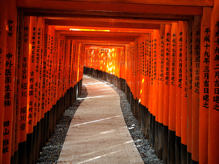 The classical red torii gates of the Fushimi Inari Taisha shrine in Kyoto, Japan